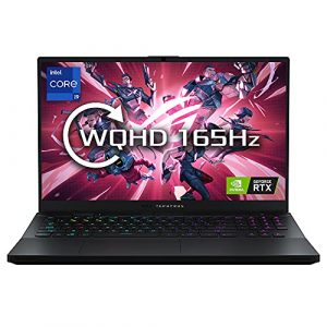 ASUS ROG Zephyrus S17 GX703HS 17.3" WQHD 165Hz Gaming Laptop (Intel i9-11900H, Nvidia GeForce RTX 3080 16GB vRAM Graphics, 32GB RAM, 2TB PCIe SSD, Windows 10 Professional)
