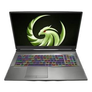 MSI ALPHA 17 B5EEK-033XFR